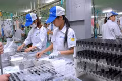 Thai Nguyên envisage d'attirer 300 millions de dollars dans les ZI en 2019