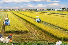 Le Vietnam renforce ses relations économiques avec l'Égypte
