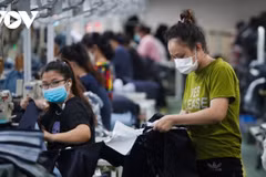 Les entreprises vietnamiennes se mettent au vert