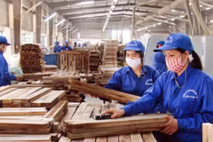 Les exportations de produits sylvicoles atteignent 8,49 milliards de dollars en 11 mois