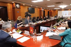 La 7e réunion du Comité mixte sur l'économie et le commerce Vietnam-Nouvelle-Zélande