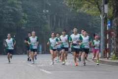 Près de 800 personnes participent au course « Race for Green Life »