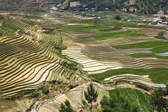 Mu Cang Chai, une peinture murale dans Nord-Ouest