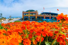 Printemps coloré au sommet de la montagne de Ba Den, dans la province de Tay Ninh