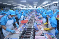 Exportations des produits agricoles, sylvicoles et aquatiques en baisse en quatre mois