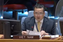 ONU : Le Vietnam partage ses préoccupation sur la situation dans région des Grands Lacs 