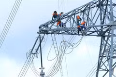 Investissements thaïlandais dans la centrale thermique de Quang Tri 1