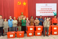 La Croix-Rouge du Vietnam soutient aux victimes des inondations à Quang Ngai