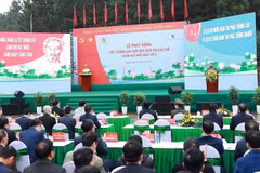 Le PM Pham Minh Chinh à la Fête de plantation d'arbres du Printemps 2023 à Hanoï