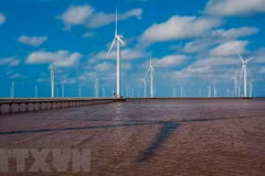 La BM propose une feuille de route pour l'éolien offshore du Vietnam