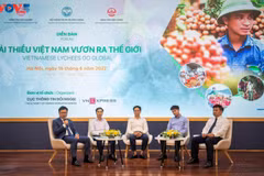 Pour mieux exporter le litchi vietnamien