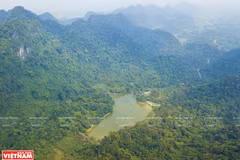 Cuc Phuong honoré pour la 4ème fois en tant que "Parc national le plus important d'Asie"