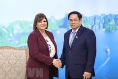 Le Premier ministre Pham Minh Chinh reçoit les ambassadeurs d'Égypte et de Mongolie