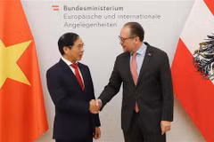 Le ministre des Affaires étrangères Bui Thanh Son en visite officielle en Autriche