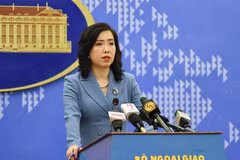Le Vietnam lutte résolument et traite strictement les violations de la loi