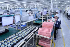 Superviser et évaluer les activités d'investissement étranger au Vietnam