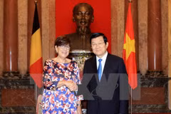 Le président Truong Tan Sang reçoit de nouveaux ambassadeurs