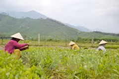 ASEM : le Vietnam promeut les Objectifs de Développement durable