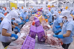 La BAD prévoit une croissance économique du Vietnam de 6% en 2024