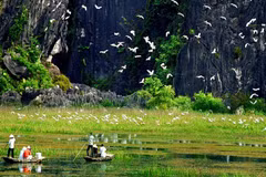 Relier le développement de l’écotourisme à la conservation de la biodiversité