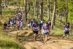 Dalat Ultra Trail 2023 : près de 7.000 coureurs attendus à Da Lat