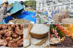 Diminution des exportations de produits agricoles, sylvicoles et aquatiques en cinq mois