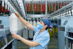 La BAD aide à développer les technologies financières au Vietnam
