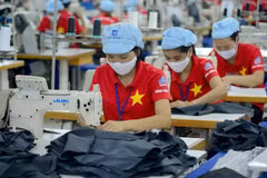 Les entreprises vietnamiennes doivent respecter le Pacte Vert pour l'Europe