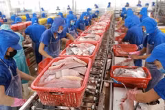 Les exportations nationales de produits aquatiques s'accéleront d’ici la fin de l'année