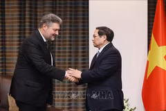 Le PM Pham Minh Chinh reçoit les dirigeants de grands groupes turcs