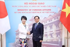 Continuer à approfondir le partenariat stratégique approfondi Vietnam-Japon