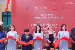Exposition "Du sol au musée : un parcours des objets" à la Citadelle impériale de Thang Long à Hanoï