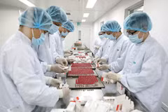 Le Vietnam se prépare à accueillir de nouveaux investissements dans la médecine et la pharmacie