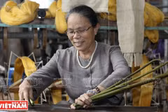 Développement d’une chaîne de valeur durable des produits en soie de lotus