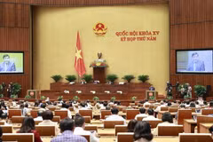 AN : envisager des politiques spécifiques pour le développement de Ho Chi Minh-Ville