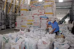Diversification des mesures pour augmenter la production et les exportations de riz