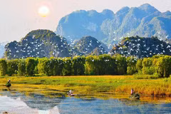Conservation et utilisation durables des zones humides au Vietnam