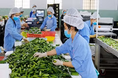 Le Vietnam doit promouvoir la transformation verte pour des exportations durables vers les marchés clés
