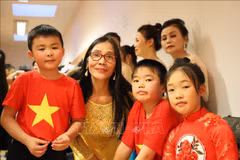 Activités de reconnaissance à des enseignants Viet kieu en Allemagne et en Russie