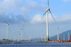 Singapour approuve l’importation de l’électricité propre du Vietnam