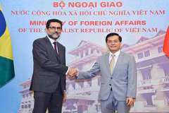 Approfondir le partenariat intégral Vietnam-Brésil