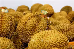 Record d'exportations des fruits et légumes
