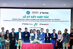 Accélérer la transformation numérique des unités participant au programme OCOP