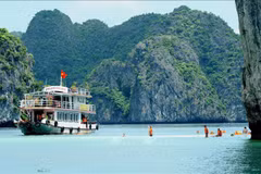 Pour faire de la baie d'Ha Long une destination verdoyante, propre et magnifique