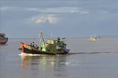 Lutte contre la pêche INN: Binh Thuan inspecte les exportations de produits aquatiques vers l'Europe