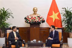 Le Vietnam participe activement au mécanisme d'examen périodique universel 