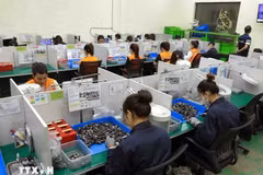 La Sarl Pim Vina dans le parc industriel de My Trung, district de My Loc, province de Nam Dinh, est spécialisée dans la fabrication de pièces de moteur, d'assistance au conducteur. Photo: VNA