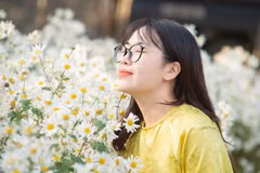 Le jardin de marguerites Daisy de la zone écotouristique de Thung Nham, district de Hoa Lu, province de Ninh Binh attire un grand nombre de touristes pour prendre des photos. 