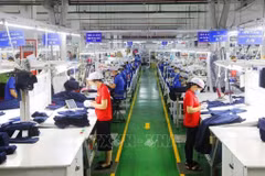La Chambre de commerce et d'industrie du Vietnam (CCIV) se concentrera cette année sur l'aide à 30 000 hommes d'affaires et entreprises en matière de connectivité et de coopération internationales. Photo : VNA
