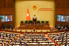 La 8e session extraordinaire de l’Assemblée nationale (AN de la 15e législature) s'est ouverte dans la matinée du 26 août à Hanoï. Photo : VNA